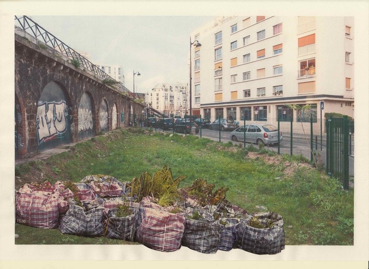 http://www.emileouroumov.fr/files/gimgs/th-48_Portable garden_collage_2016_Lois Weinberger_Salle Principale_WEB_web.jpg